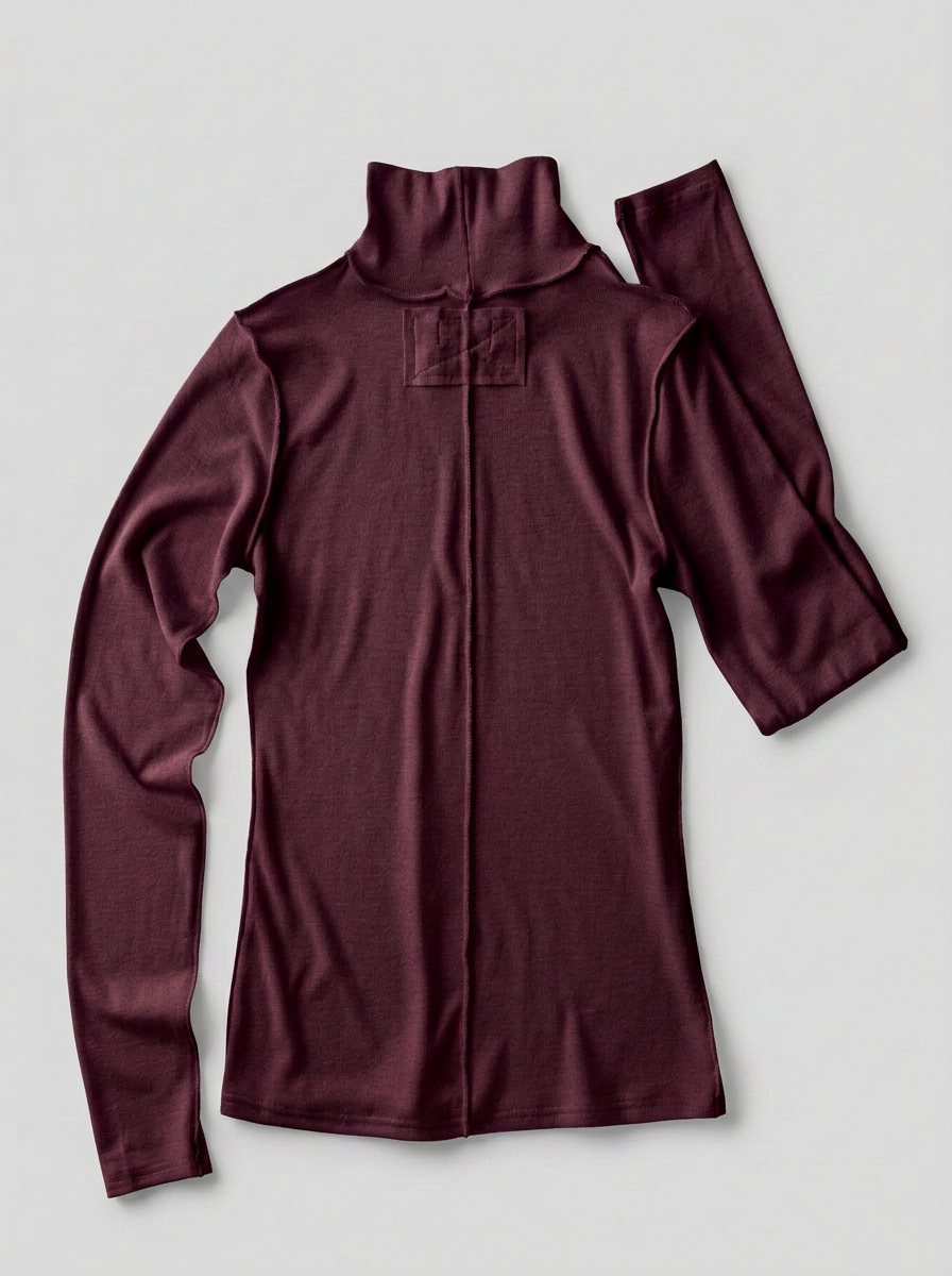 Contrast Seam Turtleneck Knit Top