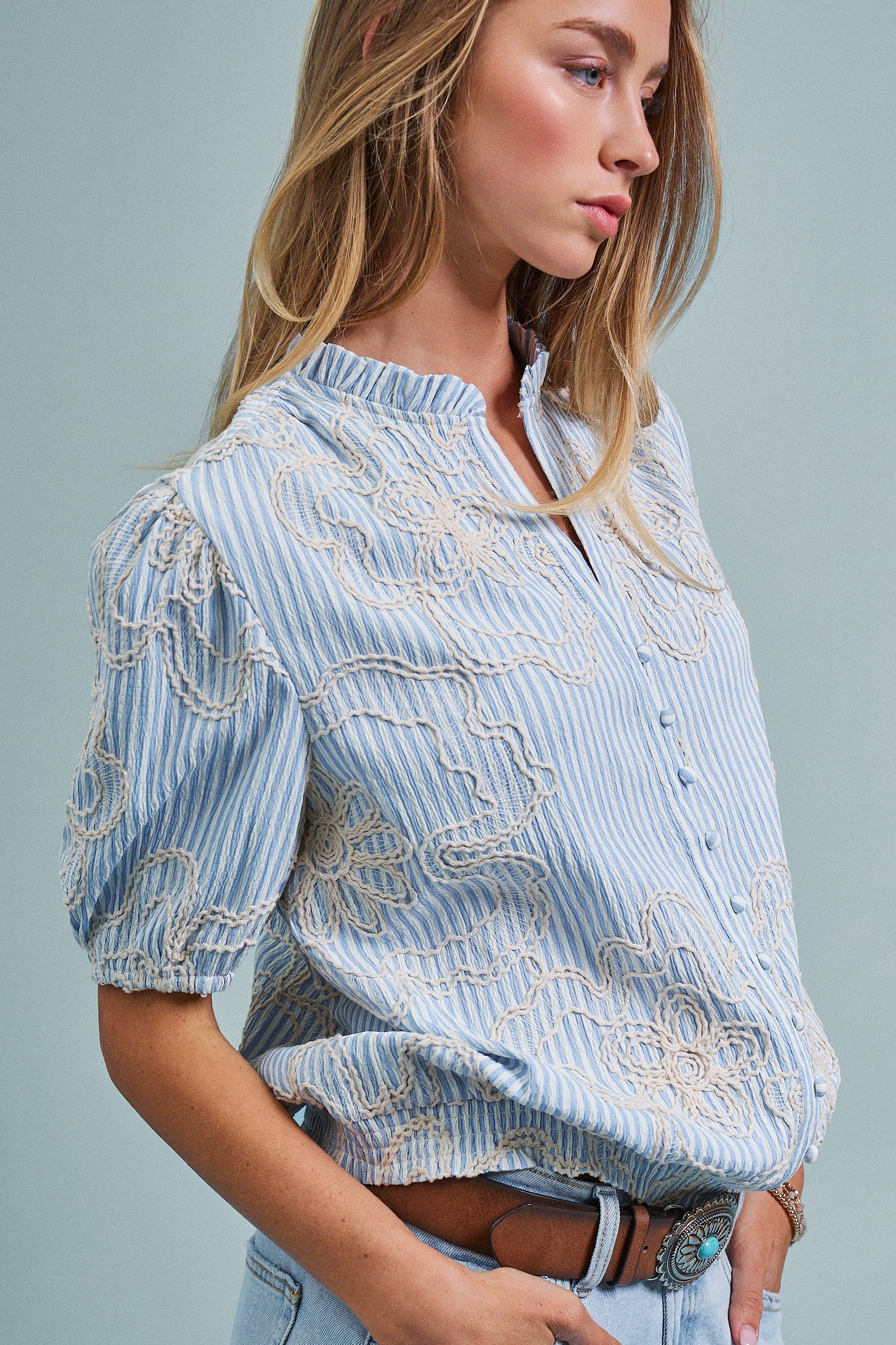 Corded Lace Embroidered Striped Puff Sleeve Blouse