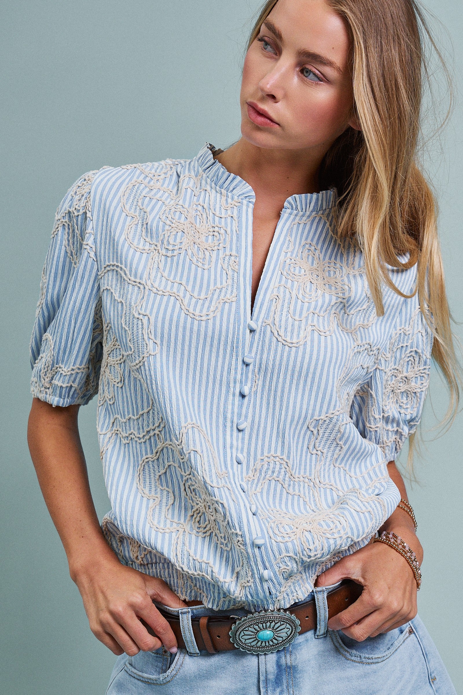 Corded Lace Embroidered Striped Puff Sleeve Blouse