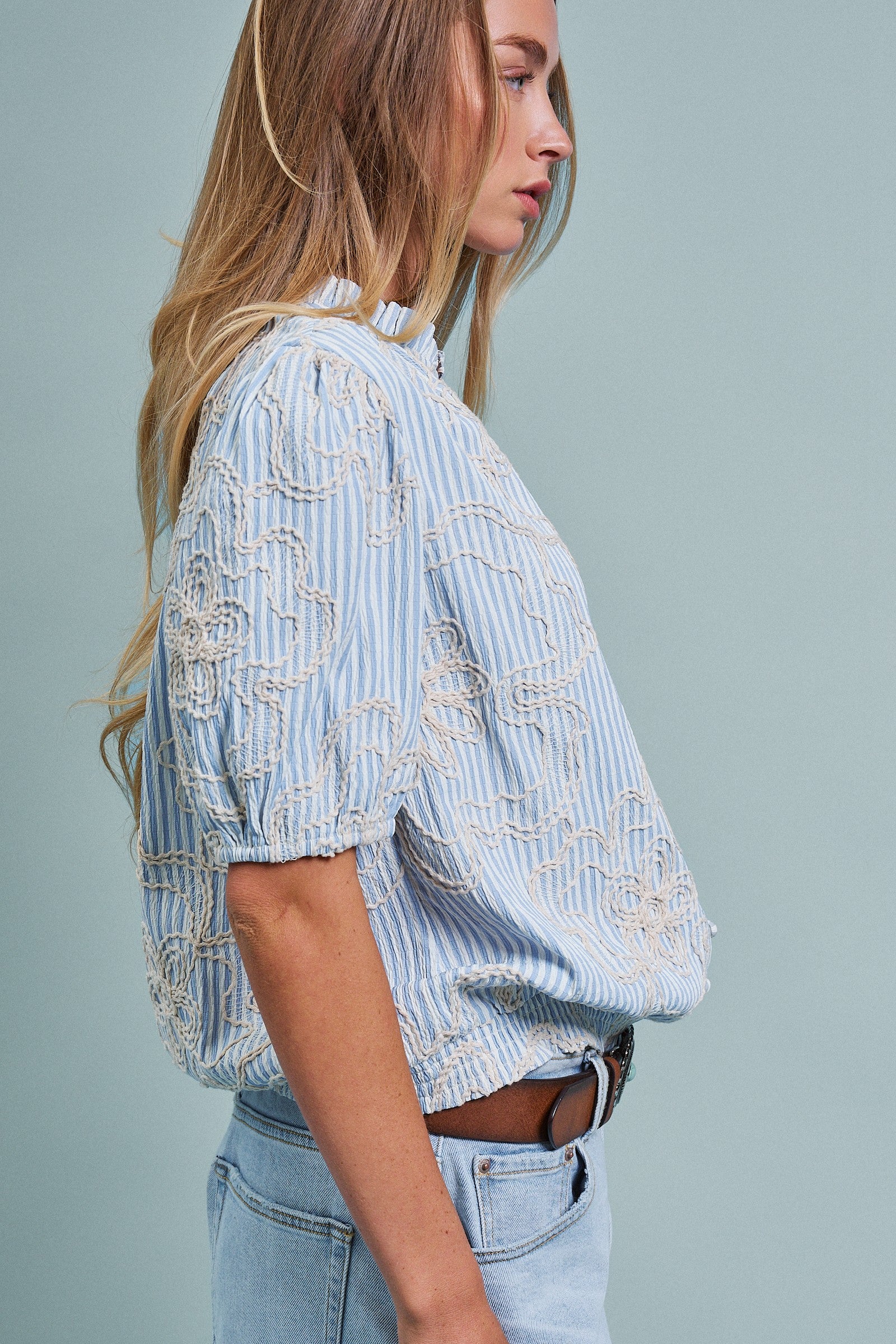 Corded Lace Embroidered Striped Puff Sleeve Blouse