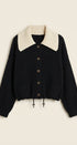 Sweater Knit Button Front Jacket with Detachable Collar in BLACK - Women's Jackets & Blazers | Urban Daizy