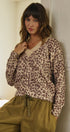 Leopard Print V-Neck Knit Sweater in LEOPARD - Women's Sweaters | Urban Daizy
