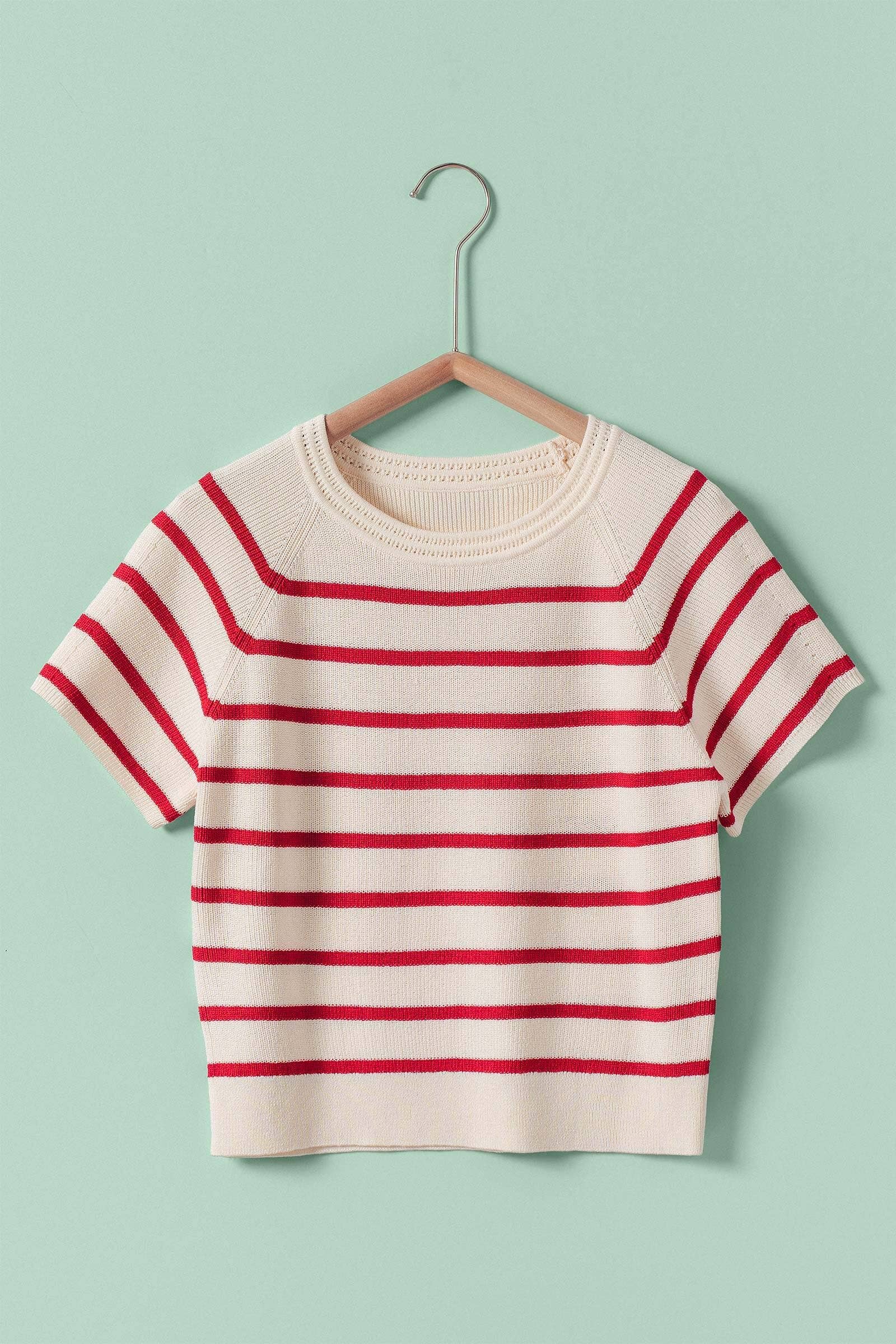 Classic Striped Raglan Sleeve Knit Top