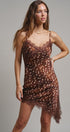 Wild Fawn Lace Mini Dress in Choco - Women's Night Out Dresses | Urban Daizy