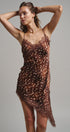 Wild Fawn Lace Mini Dress in Choco - Women's Night Out Dresses | Urban Daizy