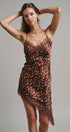 Wild Fawn Lace Mini Dress in Choco - Women's Night Out Dresses | Urban Daizy