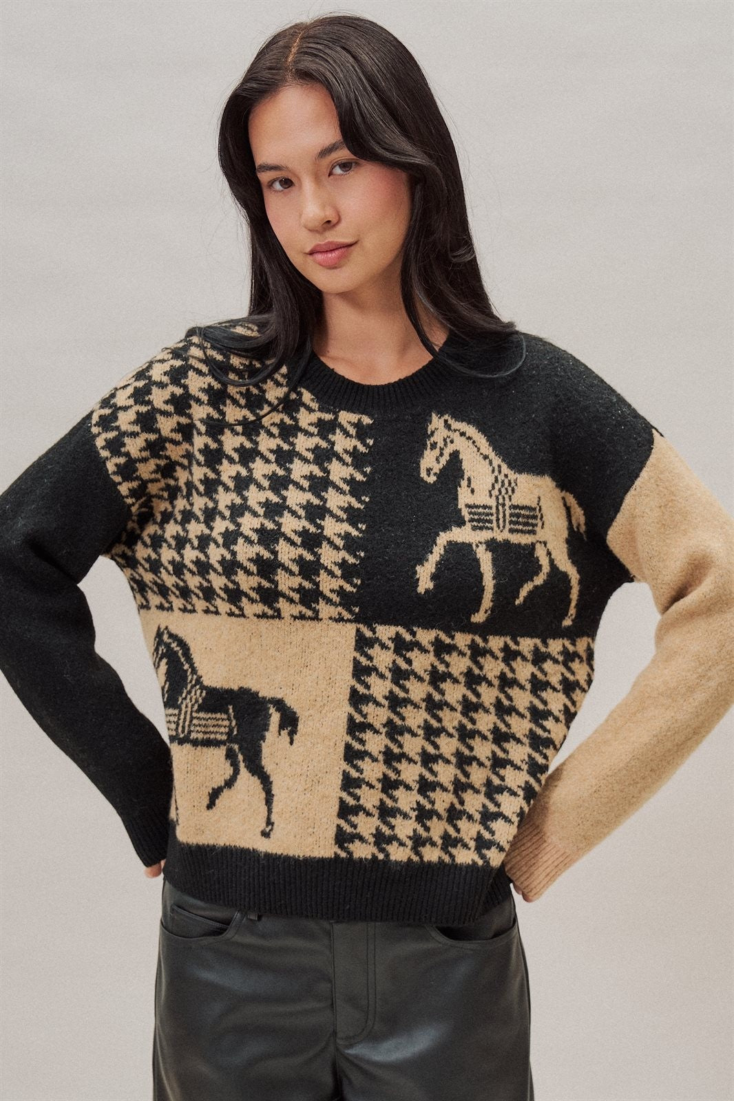 Houndstooth Horse Colorblock Knit Sweater in Black - Women's Sweaters | Urban Daizy