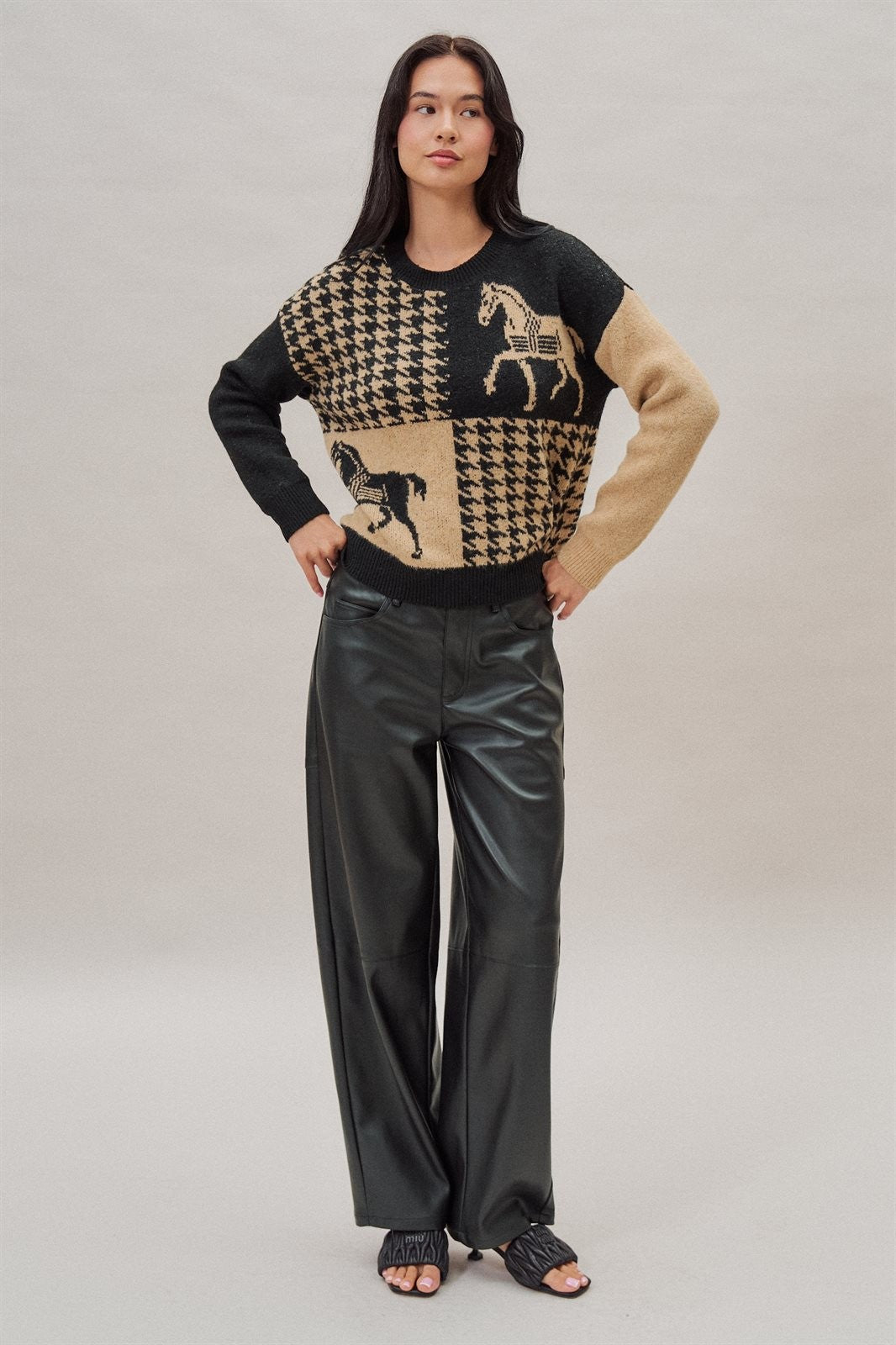Houndstooth Horse Colorblock Knit Sweater in Black - Women's Sweaters | Urban Daizy