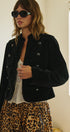 Regiment Velvet Napoleon Jacket in Black - Women's Jackets & Blazers | Urban Daizy