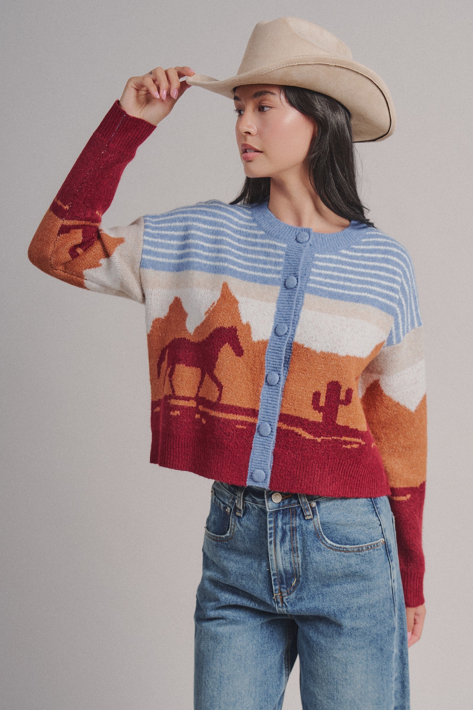 Western Desert Scene Jacquard Knit Cardigan in Blue - Women's Fashion | Urban Daizy