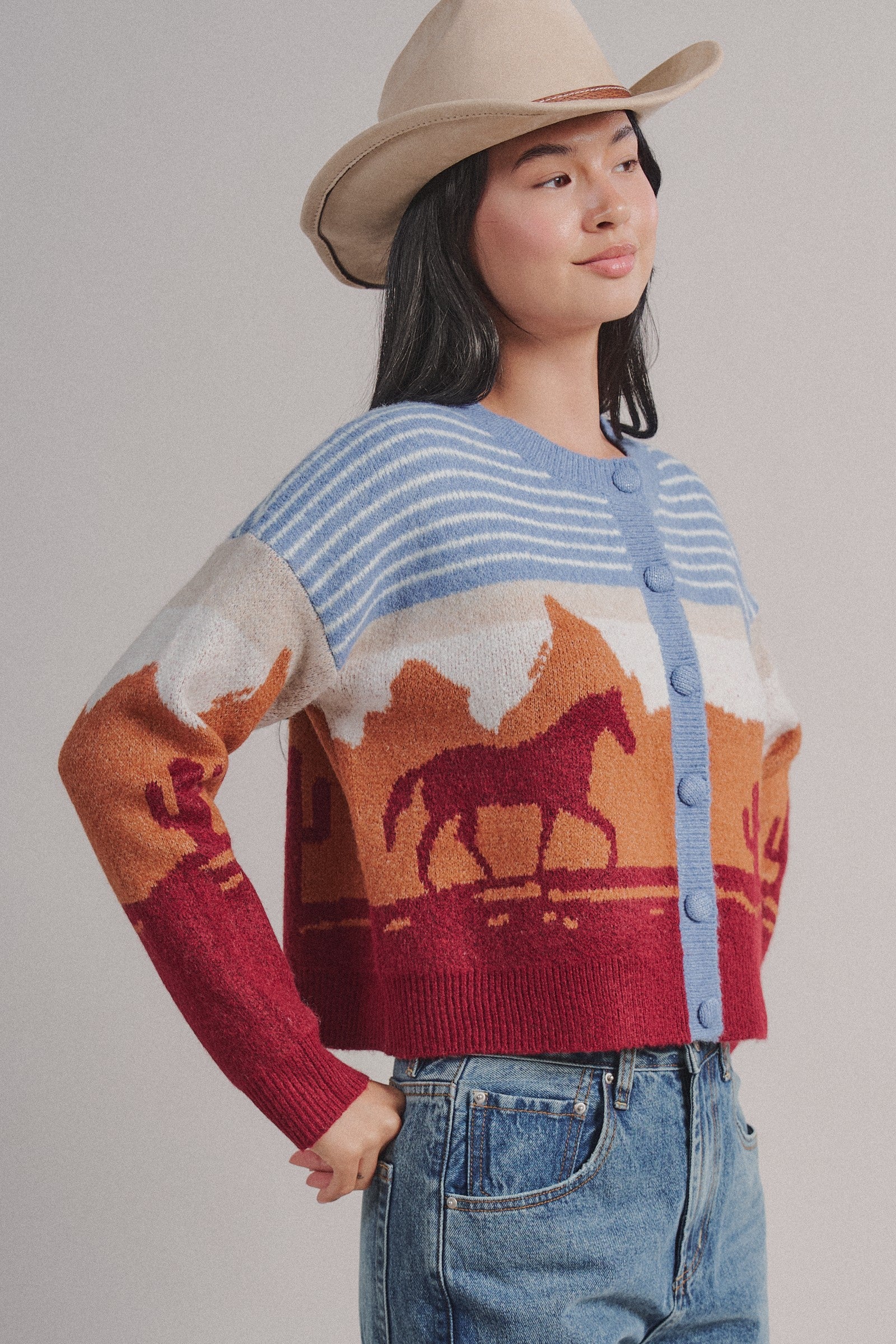 Western Desert Scene Jacquard Knit Cardigan in Blue - Women's Fashion | Urban Daizy