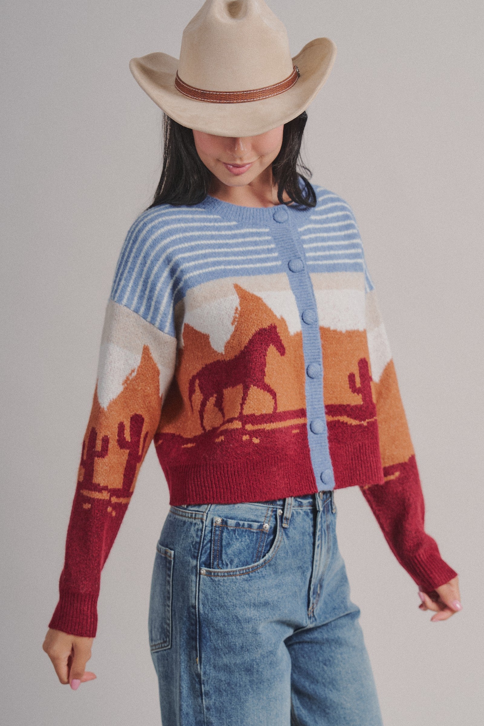 Western Desert Scene Jacquard Knit Cardigan in Blue - Women's Fashion | Urban Daizy
