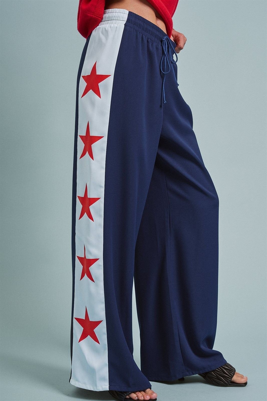 Varsity Star Side Stripe Wide-Leg Pants in Navy - Women's Pants | Urban Daizy