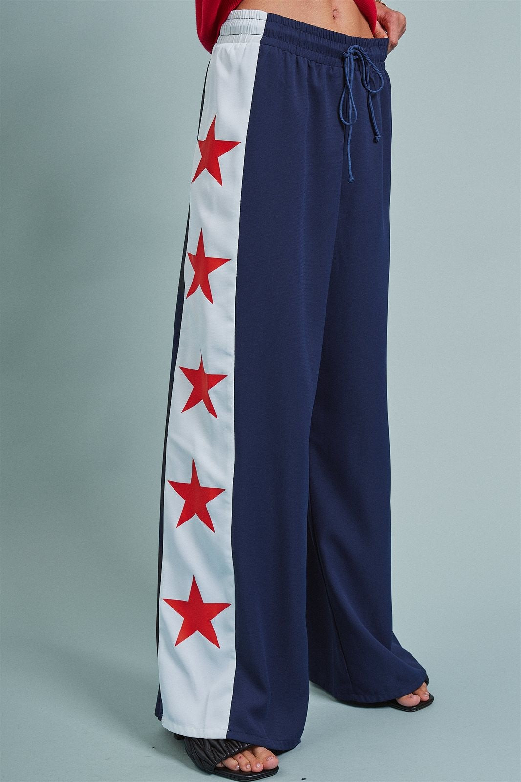 Varsity Star Side Stripe Wide-Leg Pants in Navy - Women's Pants | Urban Daizy