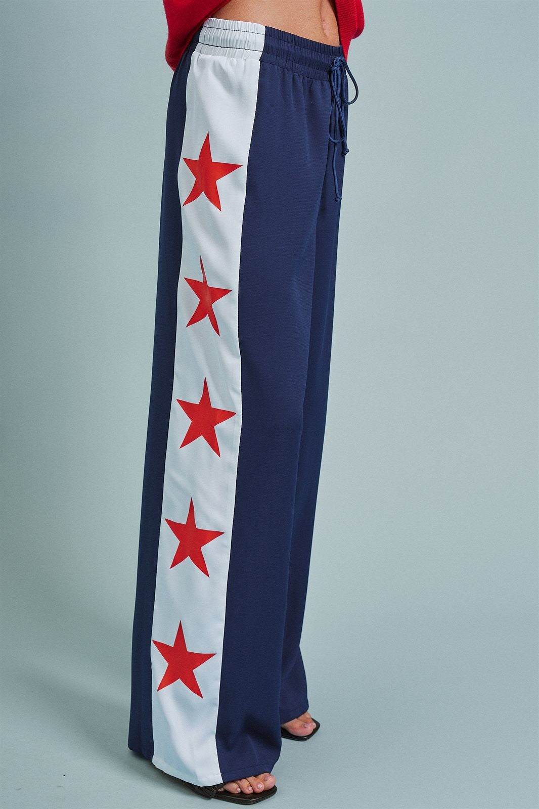 Varsity Star Side Stripe Wide-Leg Pants in Navy - Women's Pants | Urban Daizy