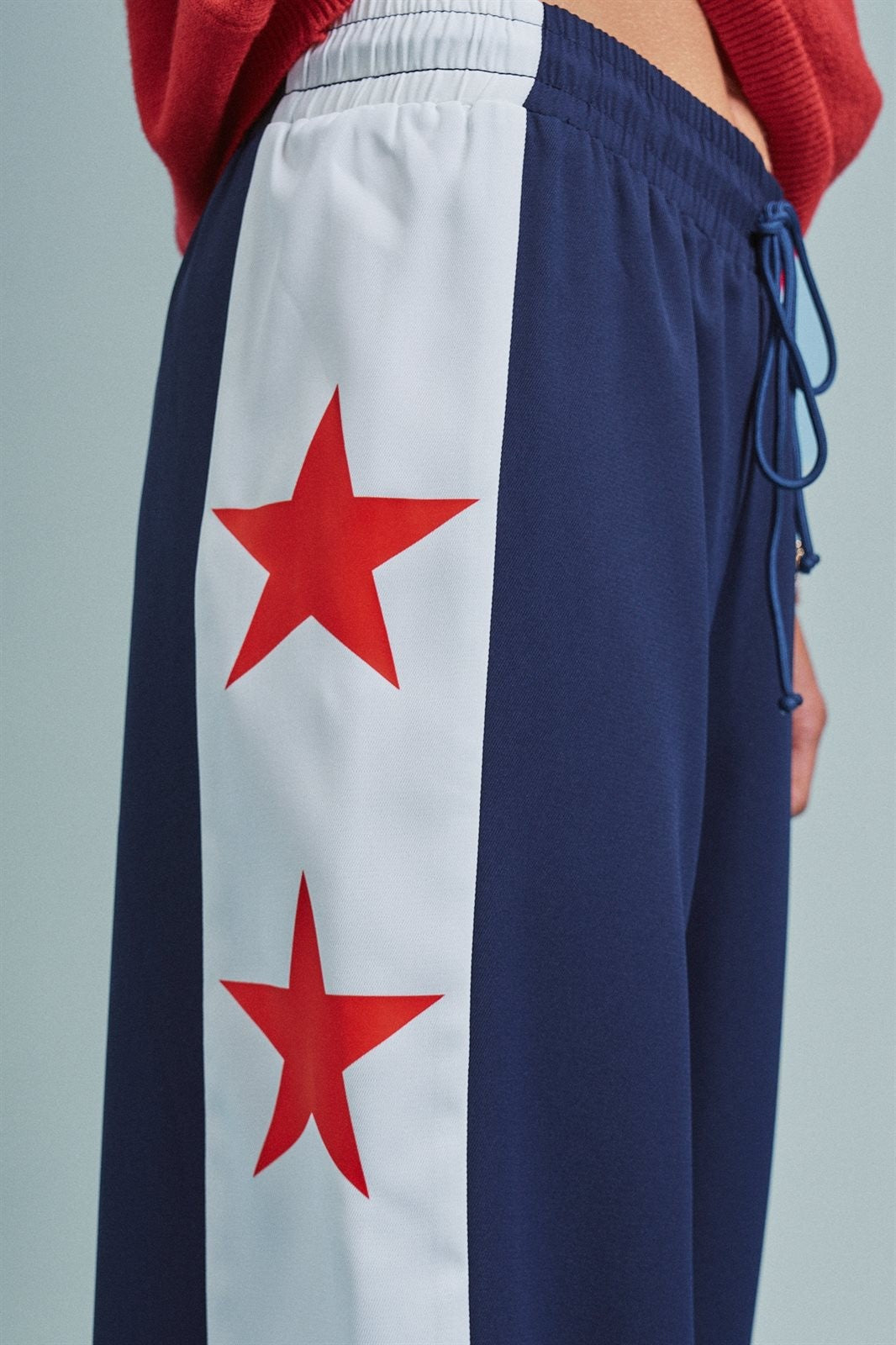 Varsity Star Side Stripe Wide-Leg Pants in Navy - Women's Pants | Urban Daizy