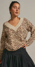 Leopard Print V-Neck Knit Sweater in Leopard - Women's Sweaters | Urban Daizy
