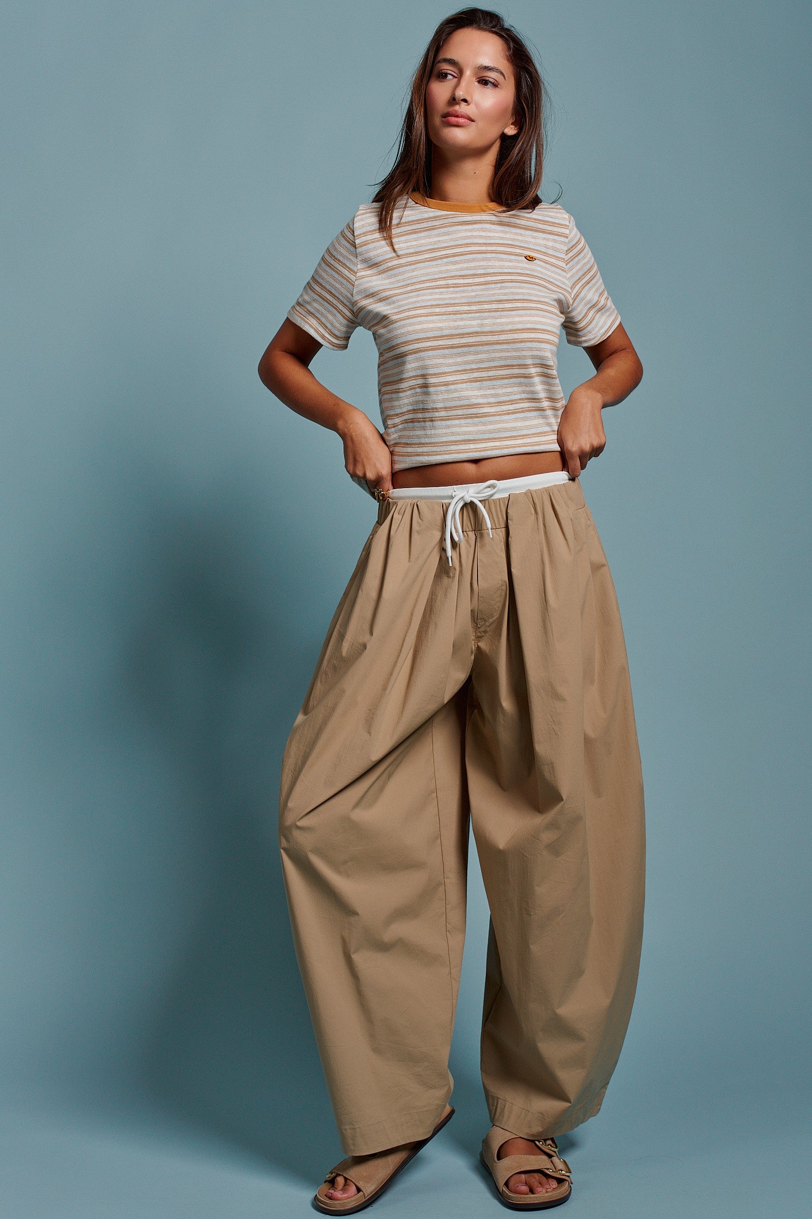 Striped Crew Neck Tee With Dachshund Logo Detail in Taupe - Women's Tops | Urban Daizy